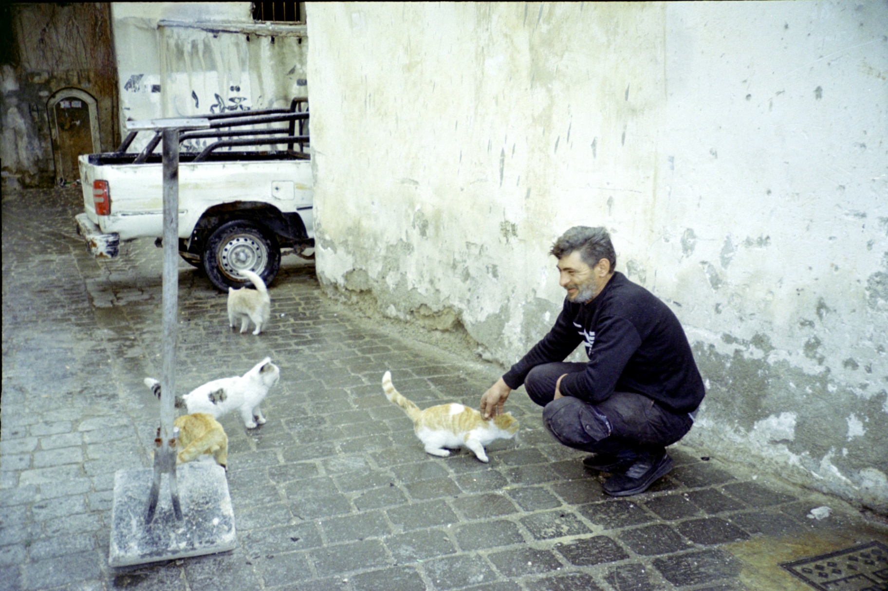 A Syrian man feeding stray cats in an alley