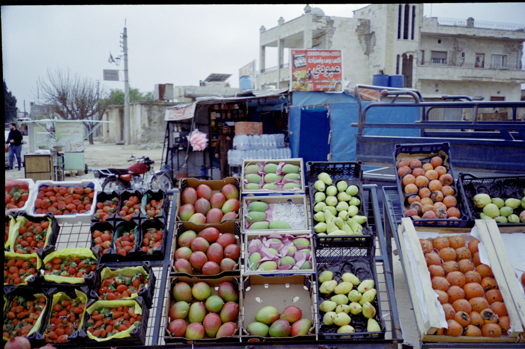 Colorful fruit market stall in Syria